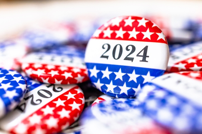 2024 Election button